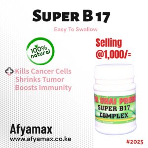B17
