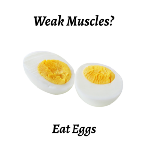 eggs