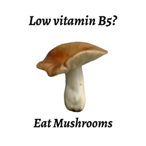 mushroom